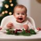 cranberry baby food benefits