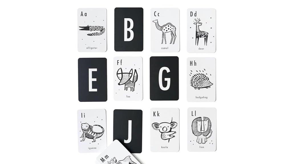 baby educational flashcards