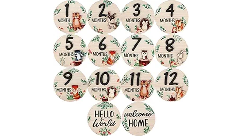baby milestone marker discs