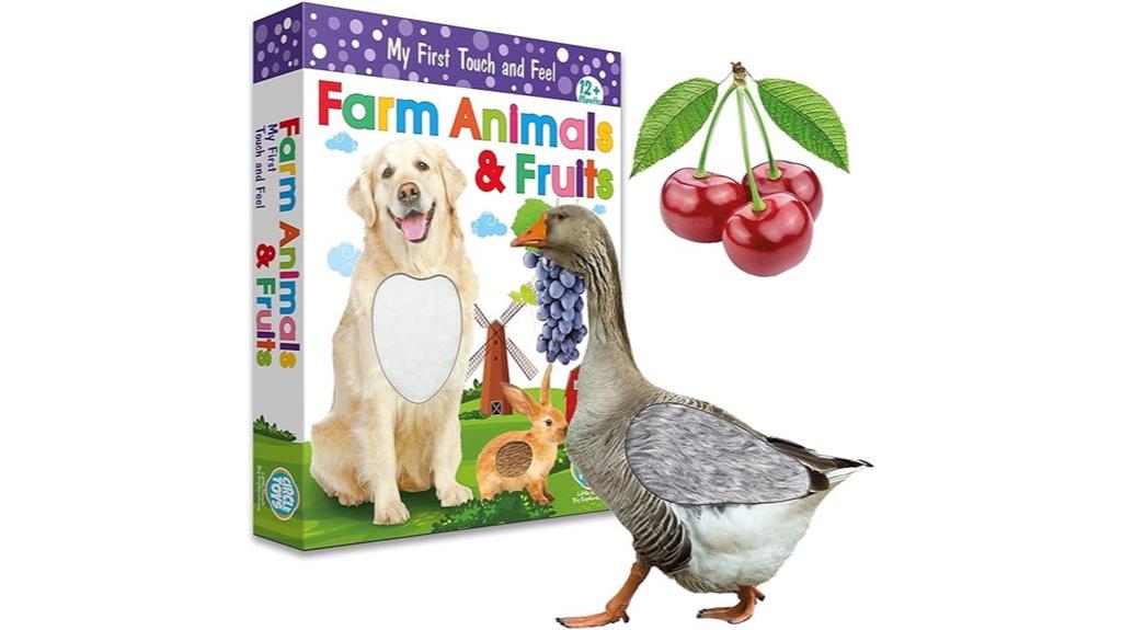 bilingual tactile flash cards