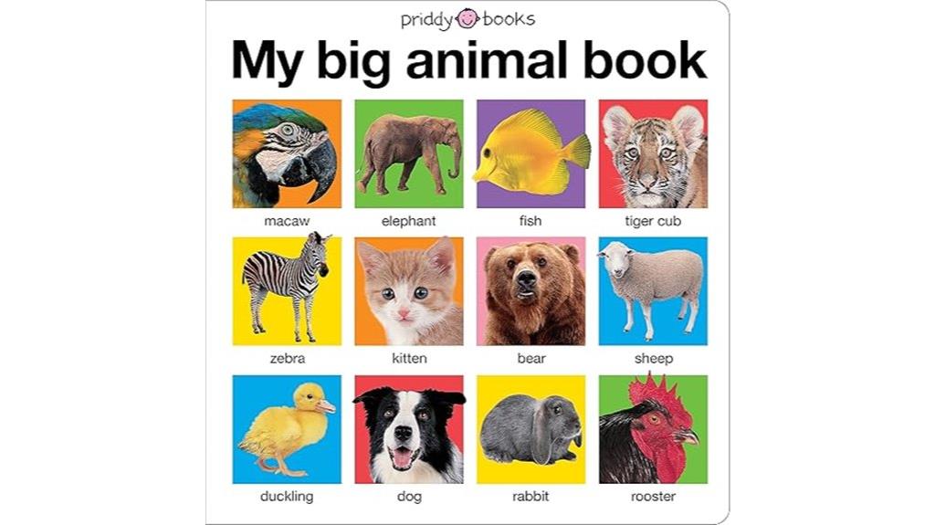 children s animal picture book