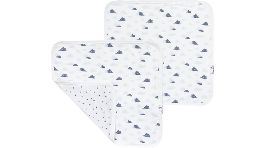 set of two baby blankets