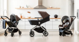Best UPPAbaby / Nuna Strollers & Car Seats for Newborns