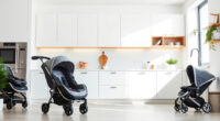 Graco 4Ever DLX vs Graco SnugRide: Full Comparison