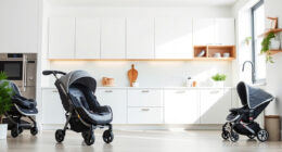 Graco 4Ever DLX vs Graco SnugRide: Full Comparison
