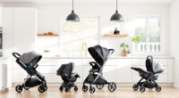 Is the UPPAbaby / Nuna Vista V2 Worth It? Honest Review