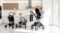 UPPAbaby Vista V2 vs Nuna DEMI: Which Stroller Fits Your Family?
