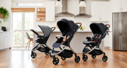 UPPAbaby Vista V3 vs Bugaboo Strollers: Which Is Better?