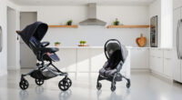 Are UPPAbaby & Nuna PIPA Car Seats Worth It? Honest Review