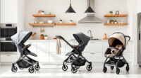 Best UPPAbaby & Nuna Strollers & Car Seats: In-Depth Reviews