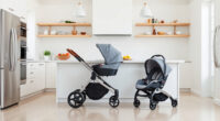 Top Strollers & Car Seats: UPPAbaby & Nuna Reviews