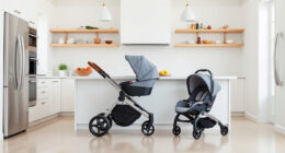 Top Strollers & Car Seats: UPPAbaby & Nuna Reviews
