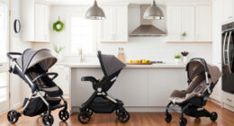 Best Budget UPPAbaby & Nuna Strollers & Car Seats in 2026